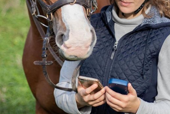 femme tenant son téléphone et le licol de son cheval