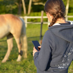 Femme de dos tenant un téléphone avec un cheval en arrière plan
