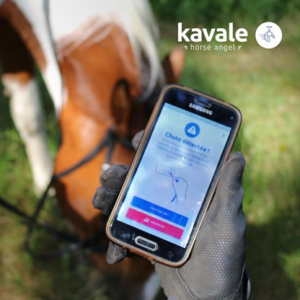 Téléphone avec l'application képhyre, cheval en arrière plan