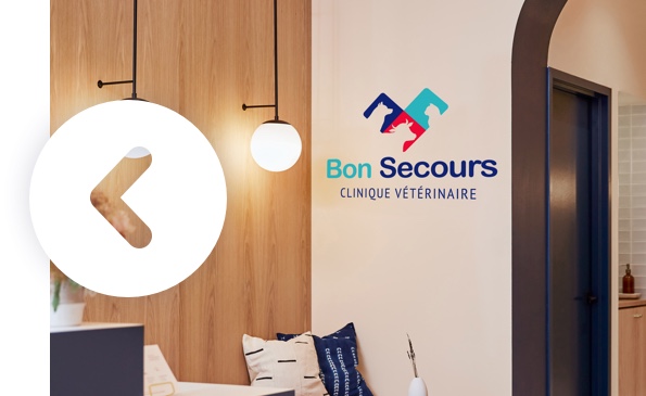 Logo design veterinaire