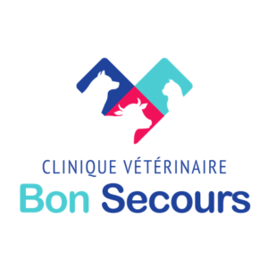 Logo vectoriel RVB clinique veto bon secours