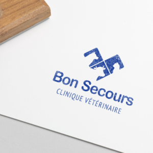 Logo Bon Secours e Tampon