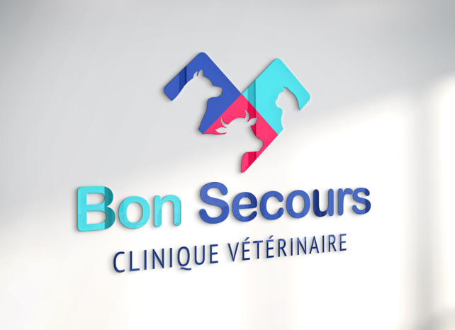 Logo Bon secours enseigne metallique