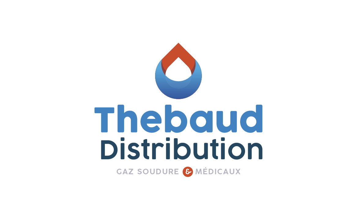 logos_home_emiliechenorio__thebauddistribution