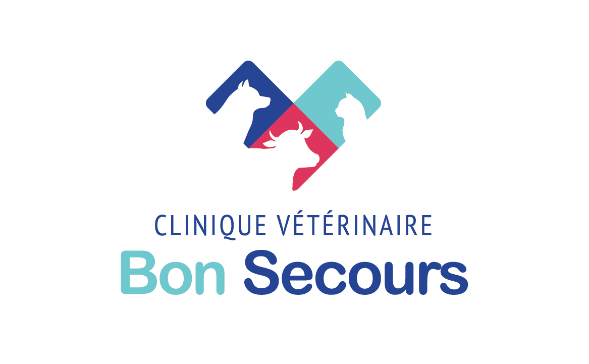 Logo de la clinique veto bon secours à heric, création emilie chenorio, ili studio